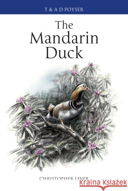 The Mandarin Duck