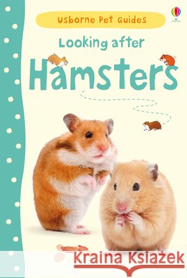 Looking after Hamsters