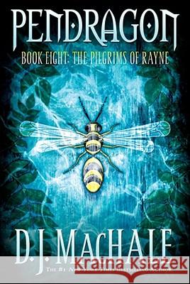 The Pilgrims of Rayne: Volume 8