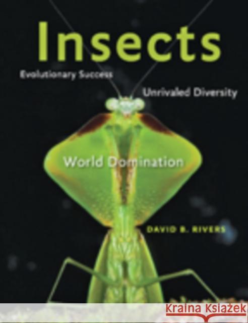 Insects: Evolutionary Success, Unrivaled Diversity, and World Domination