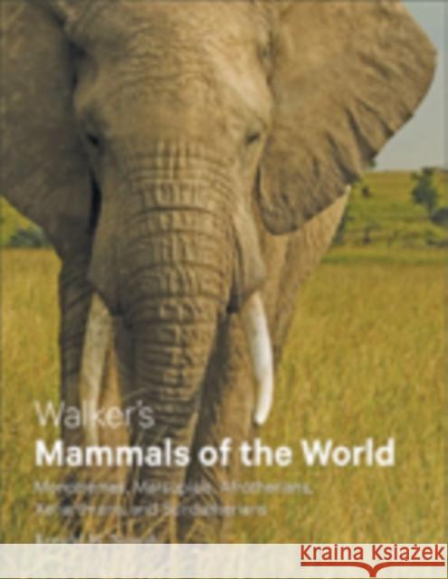 Walker's Mammals of the World: Monotremes, Marsupials, Afrotherians, Xenarthrans, and Sundatherians
