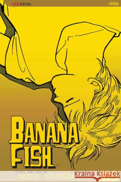 Banana Fish, Vol. 10