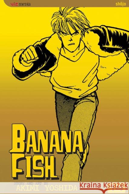 Banana Fish, Vol. 14