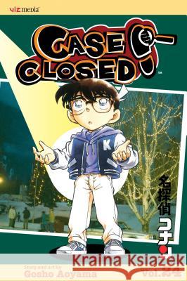 Case Closed, Vol. 24