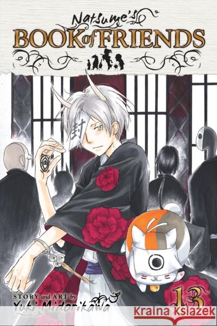 Natsume's Book of Friends, Vol. 13
