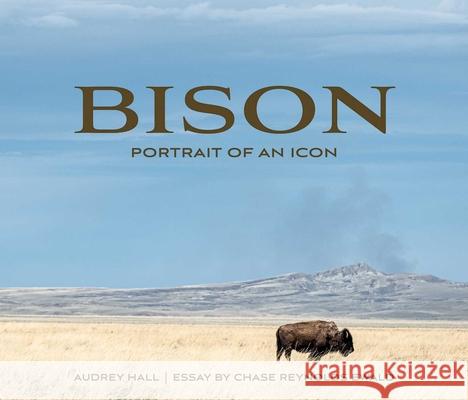 Bison: Portrait of an Icon