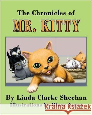 The Chronicles of Mr. Kitty