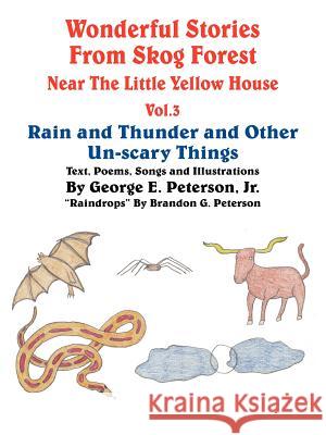 Wonderful Stories from Skog Forest Near The Little Yellow House Vol. 3: Rain and Thunder and Other Un-scary Things