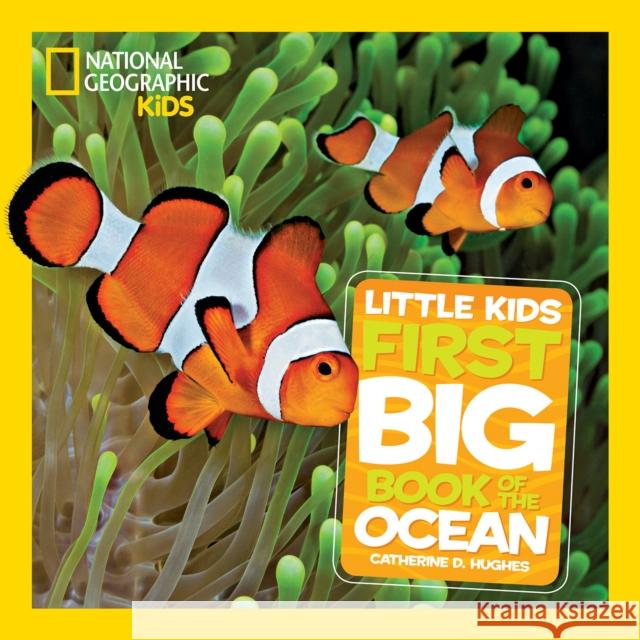 Little Kids First Big Book of The Ocean