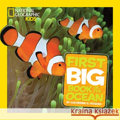 National Geographic Little Kids First Big Book of the Ocean