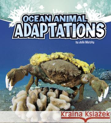 Ocean Animal Adaptations