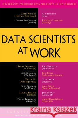 Data Scientists at Work