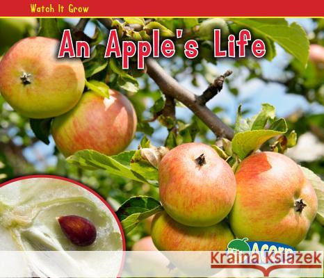 An Apple's Life