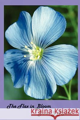 The Flax In Bloom