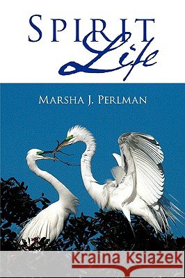 Spirit Life