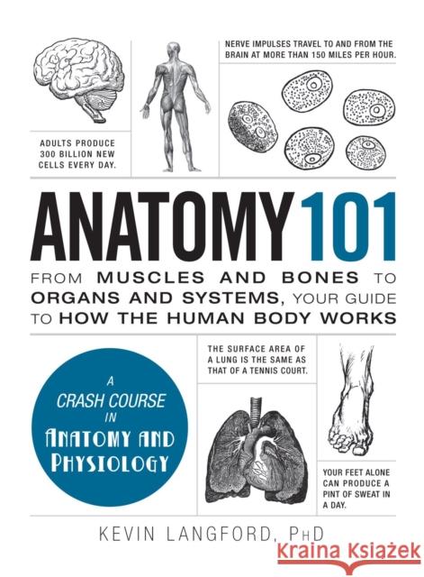 Anatomy 101: From Muscles and Bones to Organs and Systems, Your Guide to How the Human Body Works