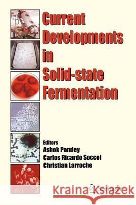 Current Developments in Solid-State Fermentation