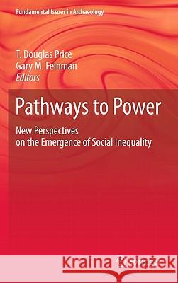 Pathways to Power: New Perspectives on the Emergence of Social Inequality