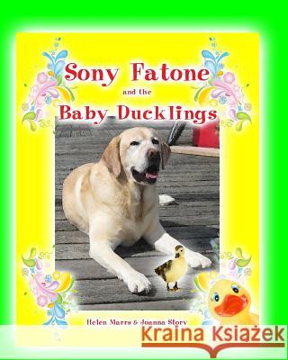 Sony Fatone and the Baby Ducklings: Sony Fatone Saves The Baby Ducks