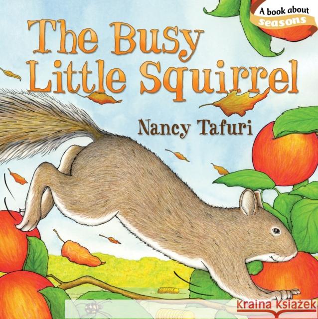 The Busy Little Squirrel