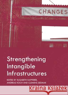 Strengthening Intangible Infrastructures