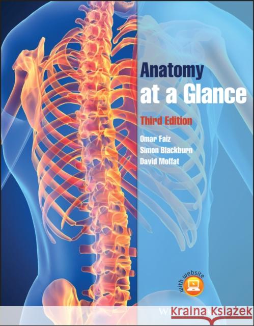 Anatomy at a Glance