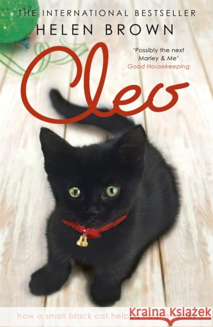 Cleo: How a small black cat helped heal a family
