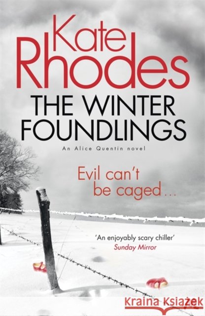The Winter Foundlings: Alice Quentin 3