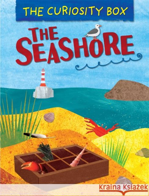 The Curiosity Box: The Seashore