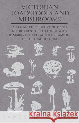 Victorian Toadstools and Mushrooms - A Key and Descriptive Notes to 120 Different Gilled Fungi (Family Agaricaceae), with Remarks on Several Other Fam