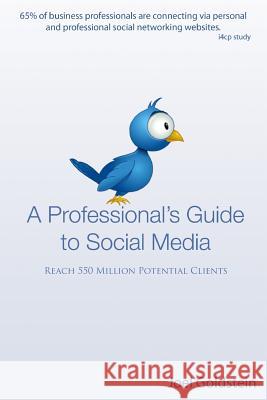 A Professionals Guide to Social Media: The complete step by step guide for an entrepreneur