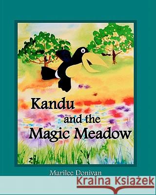 Kandu and the Magic Meadow: A color mixing story