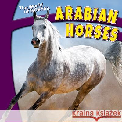Arabian Horses
