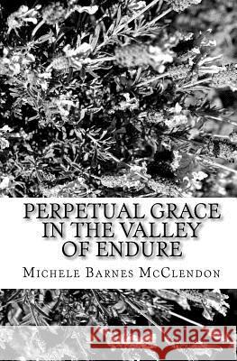 Perpetual Grace in the Valley of Endure: A Poetic Interlude