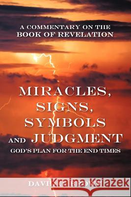 Miracles, Signs, Symbols and Judgment God's Plan for the End Times: A Commentary on the Book of Revelation