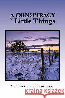 A Conspiracy of Little Things
