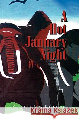 A Hot January Night