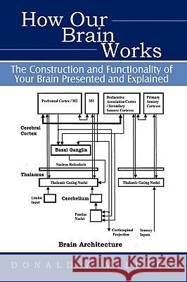 How Our Brain Works: The Construction and Functionality of Your Brain Presented and Explained