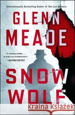 Snow Wolf: A Thriller