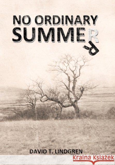 No Ordinary Summer