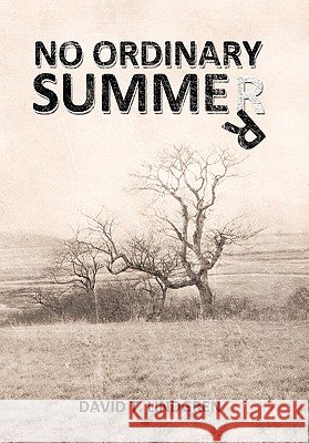 No Ordinary Summer