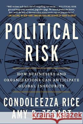 Political Risk: How Businesses and Organizations Can Anticipate Global Insecurity