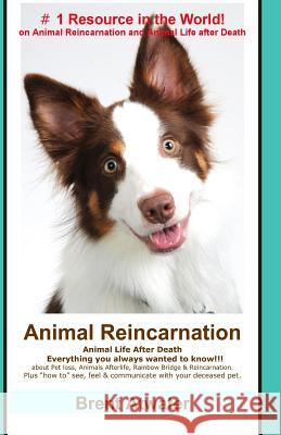 Animal Reincarnation: Everything You Always Wanted to Know! about Pet Reincarnation plus 