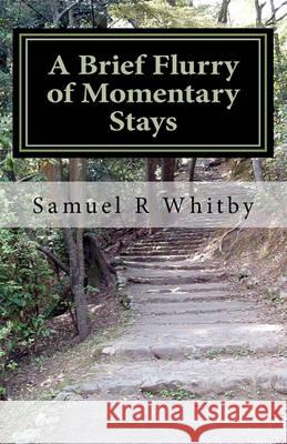 A Brief Flurry of Momentary Stays