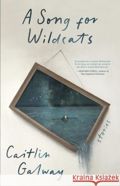 A Song for Wildcats: Stories