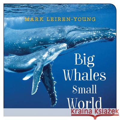 Big Whales, Small World