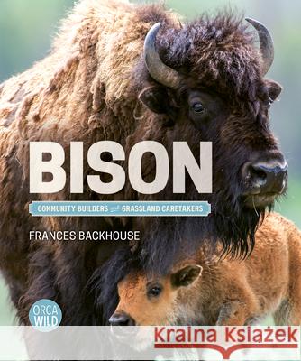 Bison: Community Builders and Grassland Caretakers
