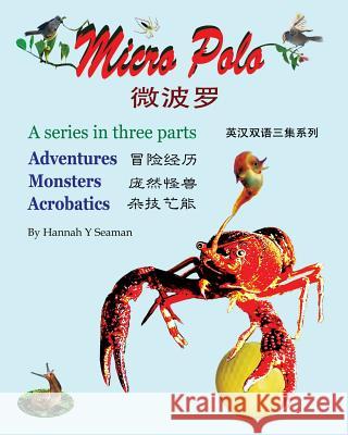 Micro Polo (Bilingual English and Chinese): A three-part series