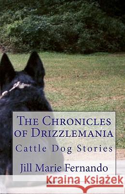 The Chronicles of Drizzlemania
