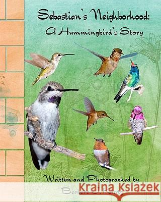 Sebastian's Neighborhood: A Hummingbird's Story